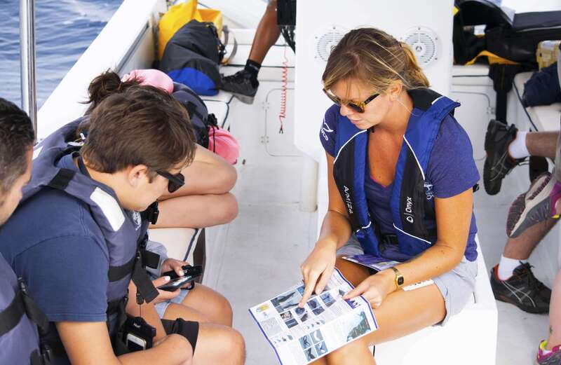Whale Watch Cabo: Zodiac Whale Adventure - FREE Photos - Key Points You’ll Actually Care About