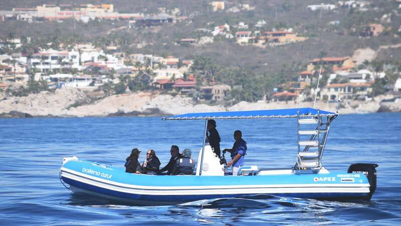 Whale Watch Cabo: Zodiac Whale Adventure - FREE Photos - Leaving the Bay: Pelican Rock, Lovers Beach, and the Arch