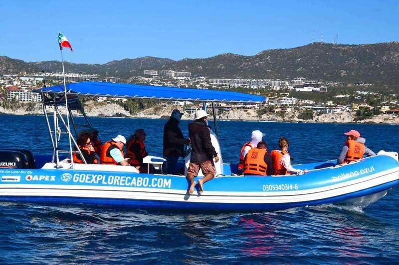 Whale Watch Cabo: Zodiac Whale Adventure - FREE Photos - The Whale Hunt Plan: Small-Group Spotting, Species Chances, and the Hydrophone Moment