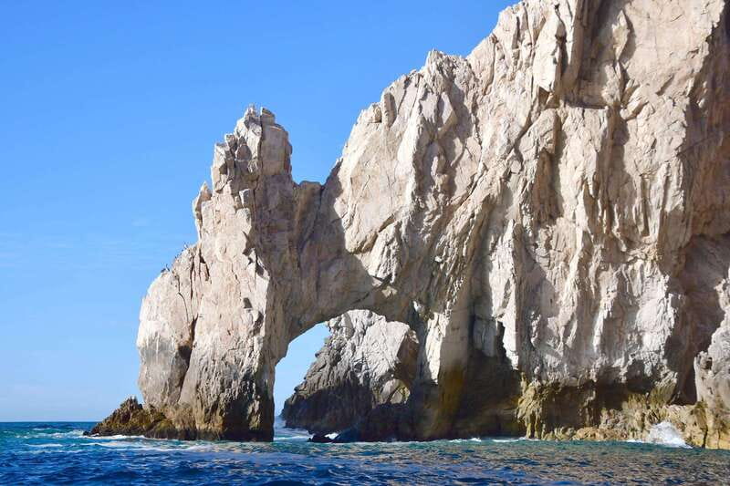 Whale Watch Cabo: Zodiac Whale Adventure - FREE Photos - Price and Value: Is $122 Worth It?