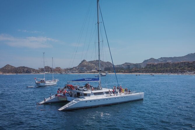 Whale Watching & Arch Catamaran Cruise in Cabo San Lucas - Cabo Arch by Boat: why this cruise hits the sweet spot