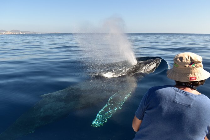 Whale Watching Cabo-Women crew-Sightings Guaranteed & Free Photos - Sailing waters for humpbacks: Sea of Cortez or Pacific Ocean