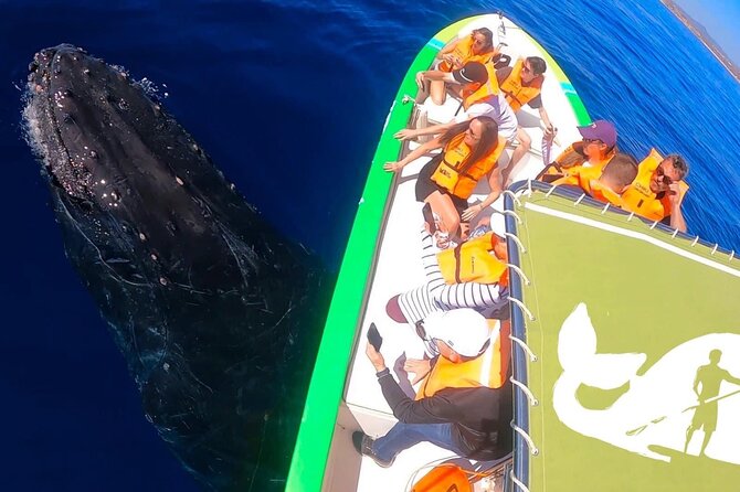 Whale Watching Cabo-Women crew-Sightings Guaranteed & Free Photos - El Arco photo stop: quick, scenic, and not stealing your whale time