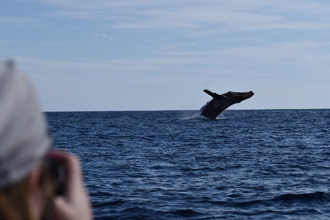 Whale Watching Cabo-Women crew-Sightings Guaranteed & Free Photos - Who this whale watch is best for