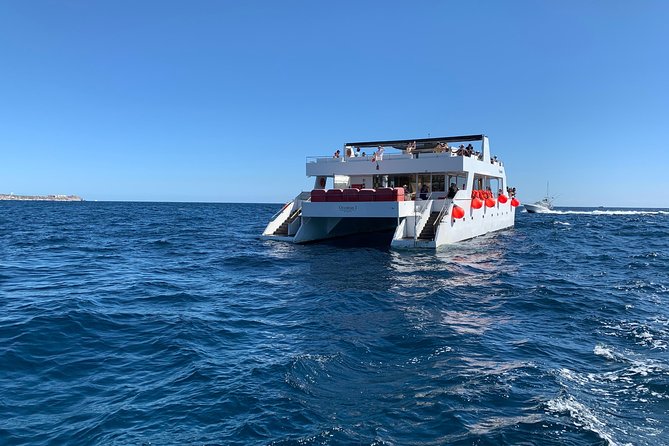 Whale Watching Cruise in Cabos San Lucas and Ground Transportation - Cabo San Lucas Arch: The Landmark You’ll Notice Instantly