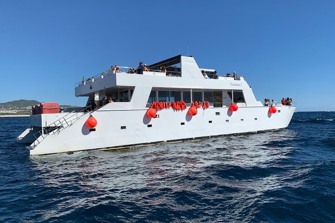 Whale Watching Cruise in Cabos San Lucas and Ground Transportation - Value for $118: What You’re Getting for the Money