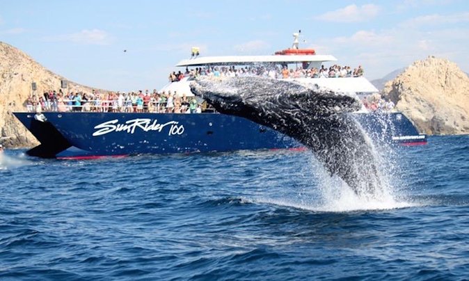 Whale Watching Dinner Cruise in Cabo San Lucas - Cruising the Arch of Cabo San Lucas for sunset photos
