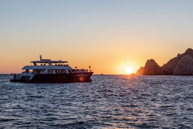 Whale Watching Dinner Cruise in Cabo San Lucas - Comfort that actually helps: seating, movement, and bathrooms