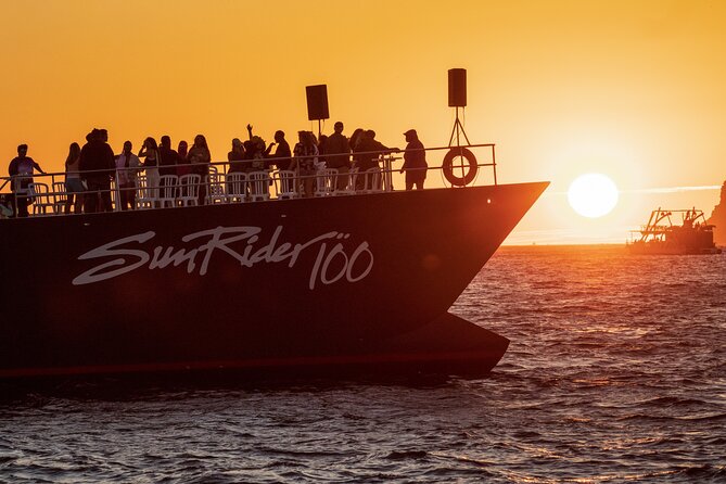 Whale Watching Dinner Cruise in Cabo San Lucas - Whale watching around Cabo: what you should look for