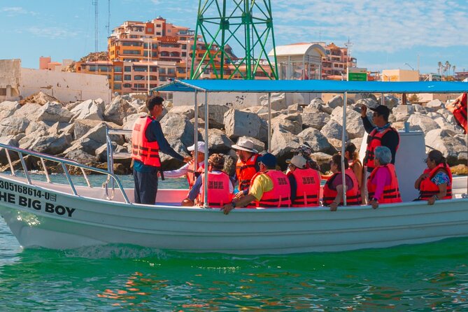 Whale Watching Experience in Cabo San Lucas 2 hours - On-Board Comfort: Restroom and Water vs What You Should Prepare For