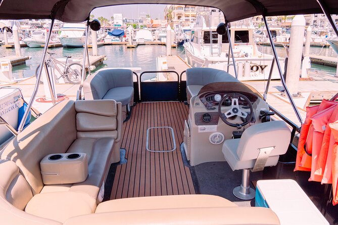 Whale Watching in Cabo San Lucas on board our Luxury Trimaran! - The 2-Hour Cruise: How You Actually Search for Whales