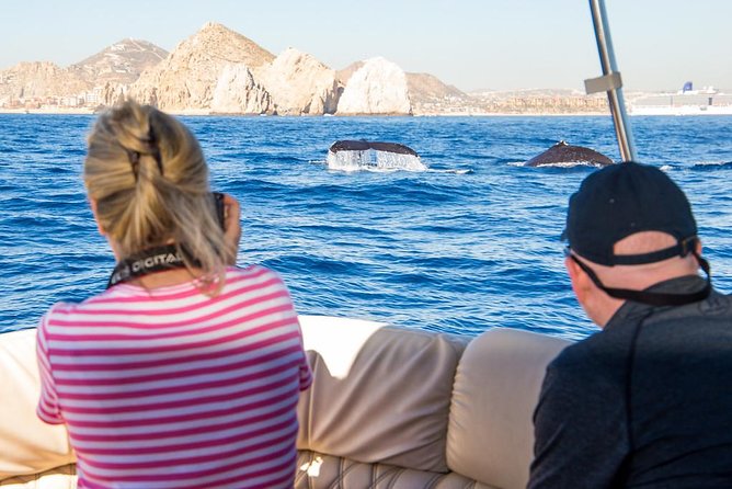 Whale Watching in Cabo San Lucas on board our Luxury Trimaran! - The Boat: Luxury Trimaran Comfort With Real-Water Safety