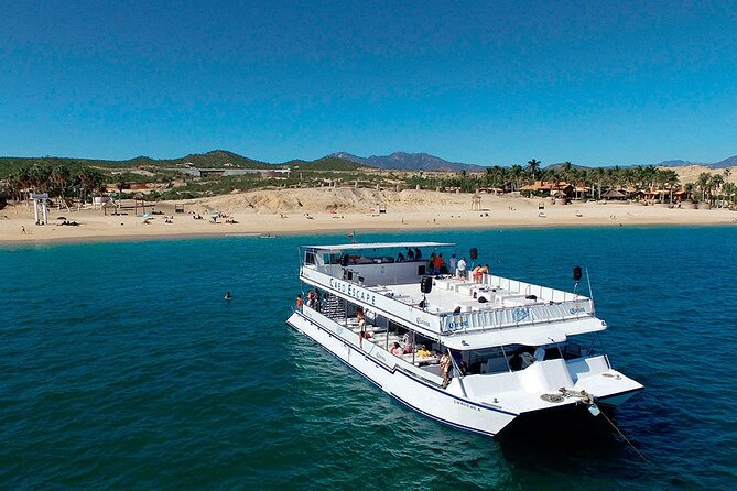 Whale Watching on 2 Level Big Boat with Breakfast and Drinks INCLUDED - The Two-Level Big Boat Setup (And Why It’s Worth It)