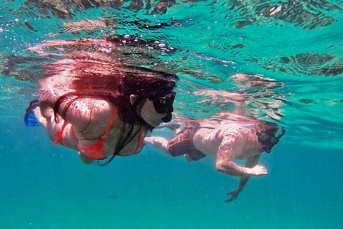 Whale Watching & Snorkeling Combo in Los Cabos with Photos Included - Two Hours of Whales and One Hour Snorkeling: How the Combo Works