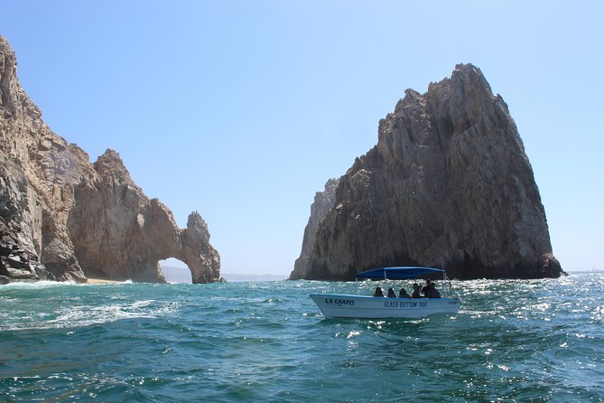 Whale Watching Tour in Glass Bottom Boat (VisitA Cabo) - What You Get Onboard: Glass Bottom Views, Water, and a Human Scale