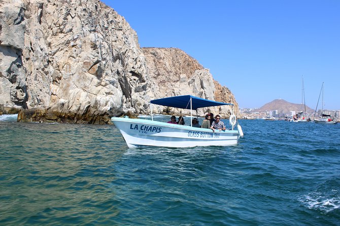 Whale Watching Tour in Glass Bottom Boat (VisitA Cabo) - Who This Whale Watching Tour Fits Best