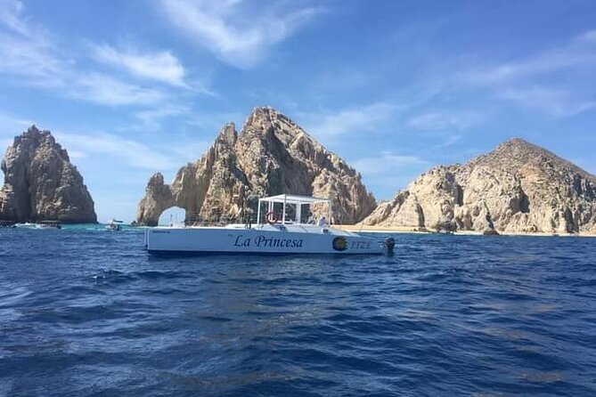 Whale Watching Tour in Los Cabos - On-board food and drinks: included value that actually matters