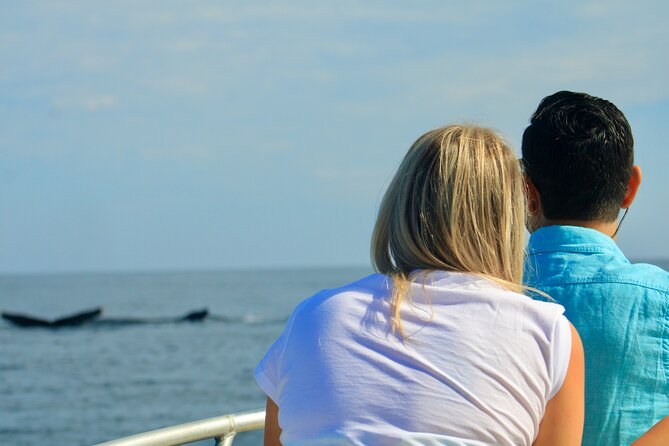 Whale Watching Warranty in San José del Cabo Snacks and drinks - Calm Water, Real Wildlife, and Why “Intimate” Matters