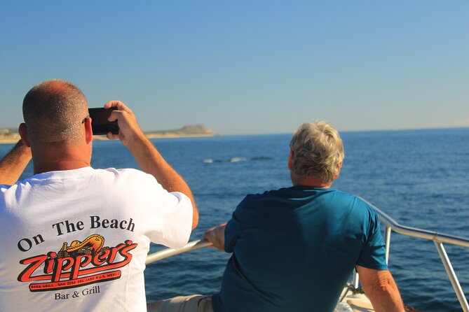Whale Watching Warranty in San José del Cabo Snacks and drinks - Snacks, Water, and Drinks: The Small Detail That Helps You Stay Focused