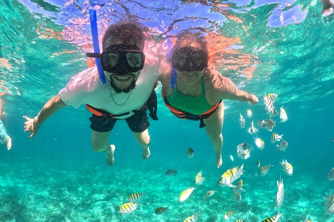 Your Own Private Yacht in Cabo – Snorkeling, Crew & Coastal Views - Setting Off From Marina Cabo San Lucas (and why that matters)