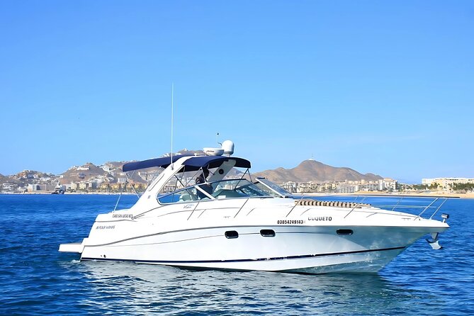 Your Own Private Yacht in Cabo – Snorkeling, Crew & Coastal Views - Price and logistics: what $795 per group actually buys you