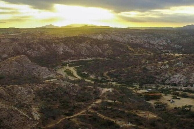 Zip Line Adventure in Los Cabos - Tequila and Damiana Tasting: A Small Local Moment Between Adrenaline Runs