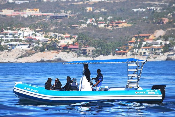 ZODIAC Whale Watch Tour | Cabo San Lucas | Biologist | FREE Pics - The route before you chase whales: El Arco, Playa de los Amantes, Pelican Rock
